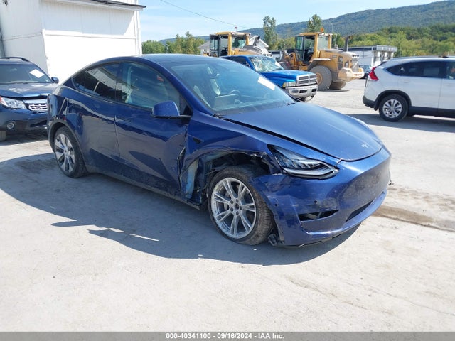 2021 tesla model y
