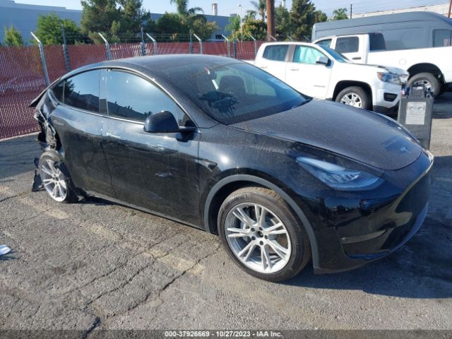 2021 tesla model y