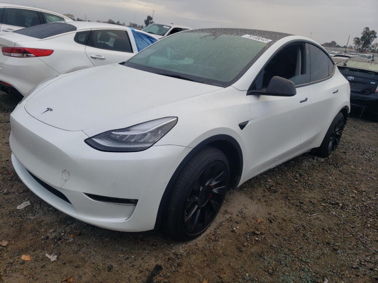 2021 tesla model y