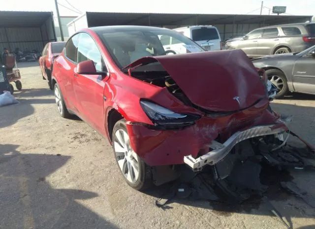 2021 tesla model y