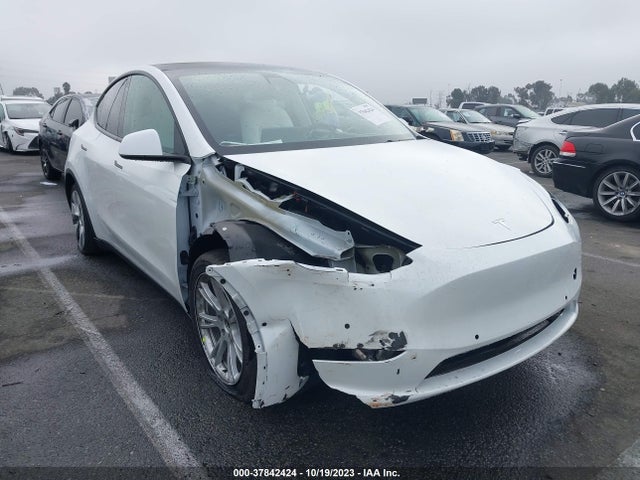 2021 tesla model y