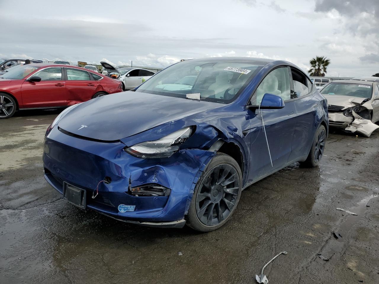 2021 tesla model y