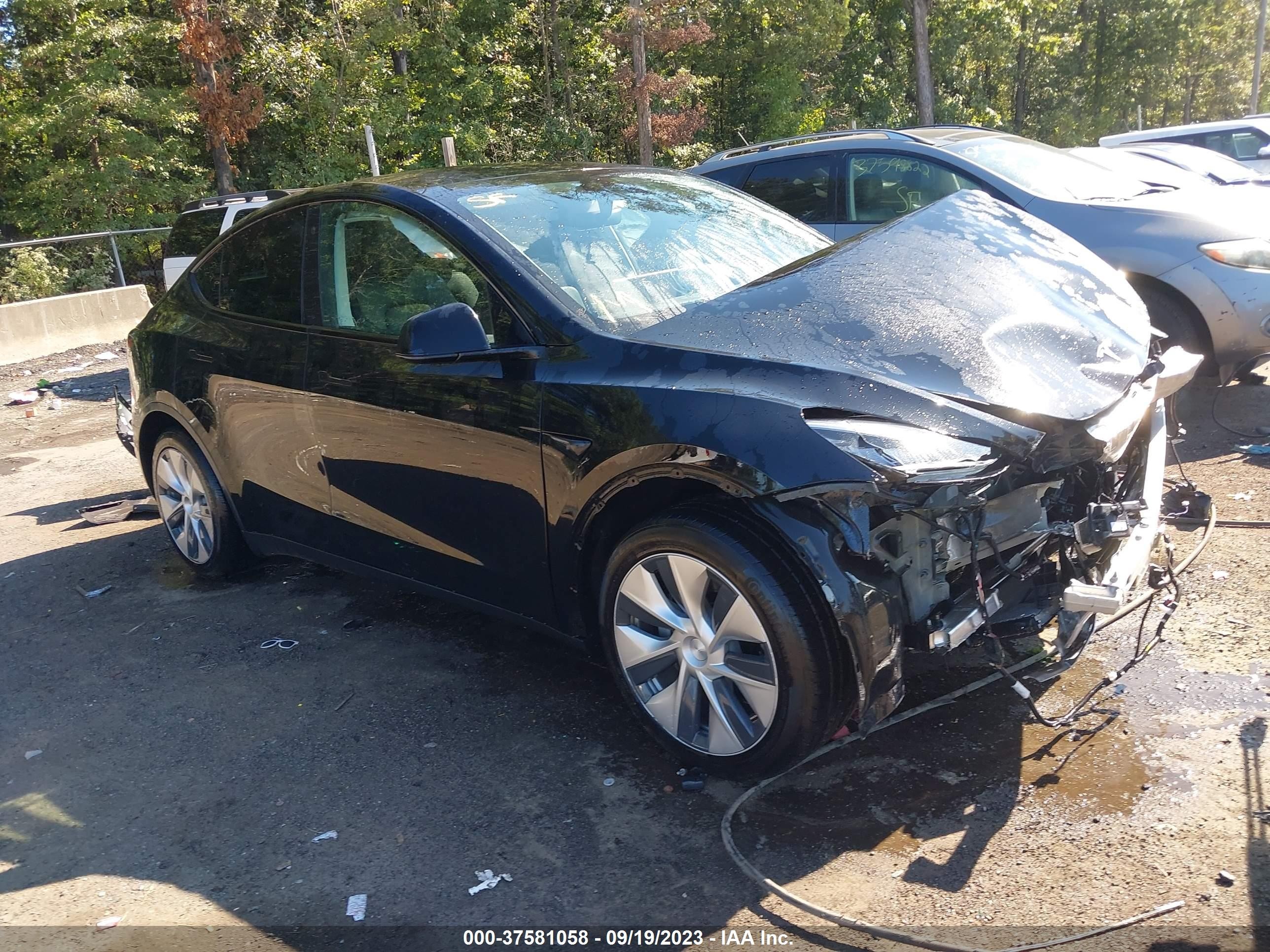 2021 tesla model y