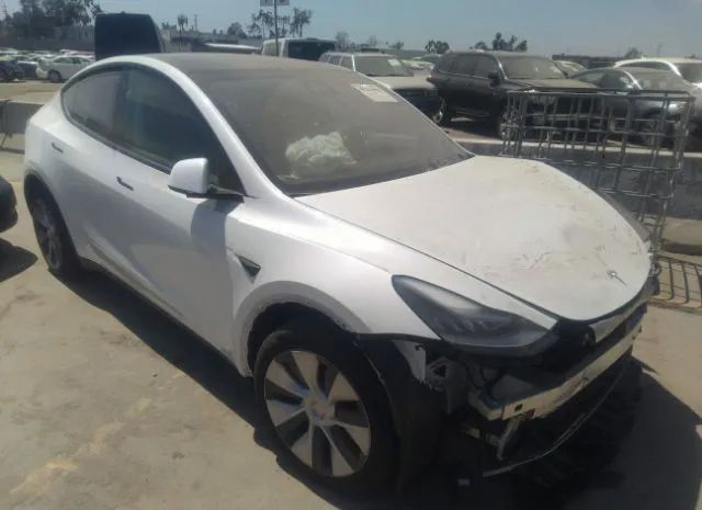 2021 tesla model y