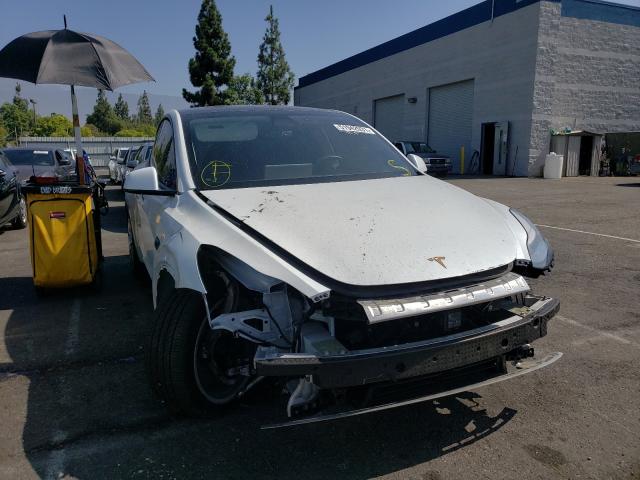 2019 tesla model y