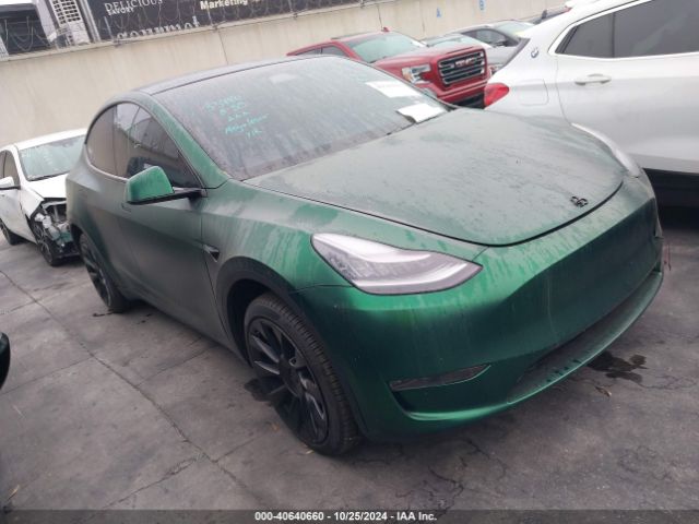 2020 TESLA Model Y
