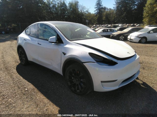 2020 tesla model y