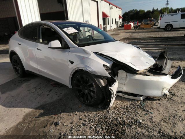 2020 tesla model y