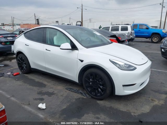 2021 tesla model y