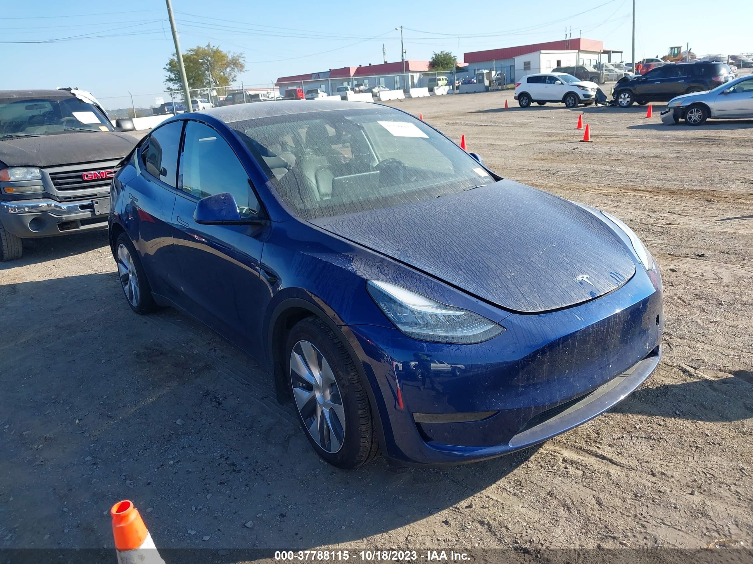 2020 tesla model y