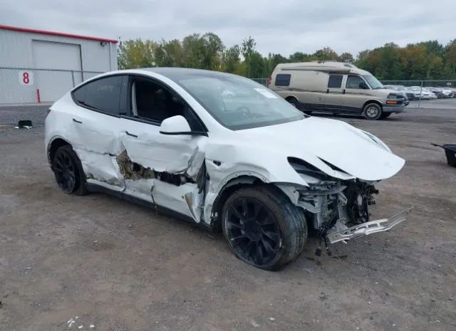2020 tesla model y