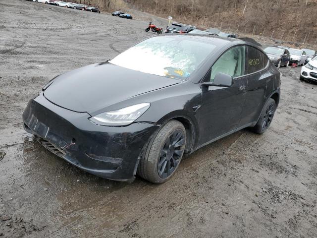 2020 tesla model y