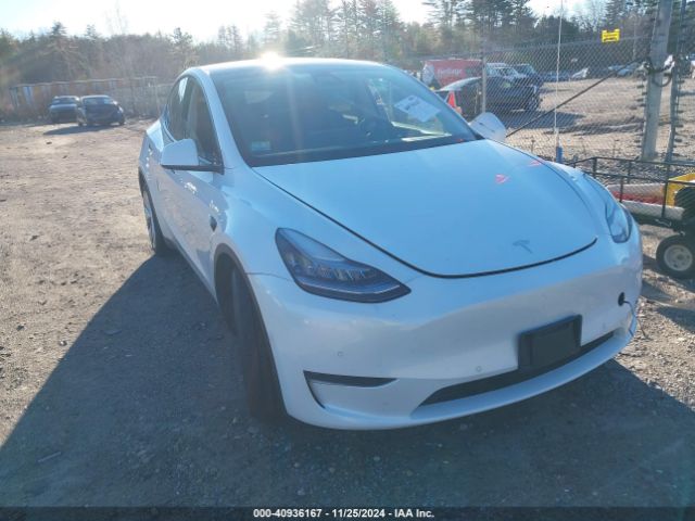 2021 TESLA Model Y
