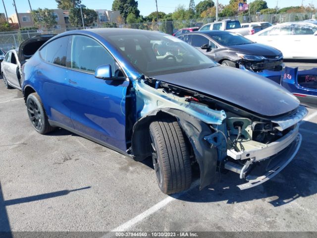 2020 tesla model y