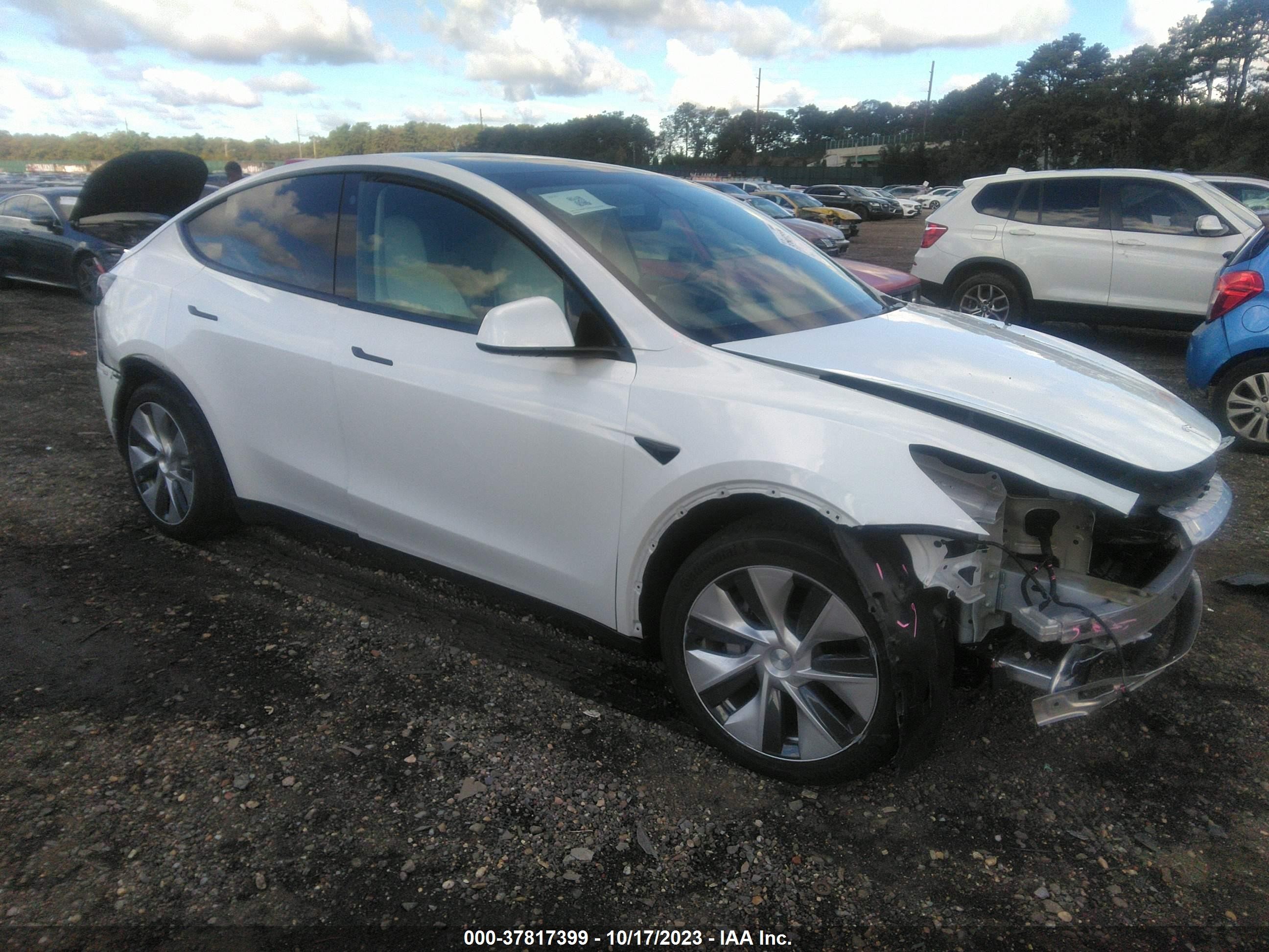 2021 tesla model y