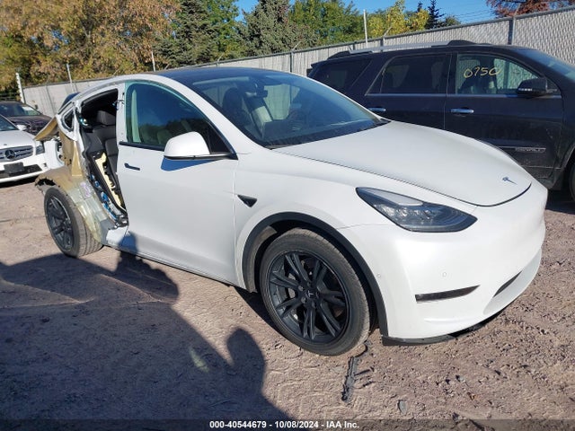 2021 tesla model y
