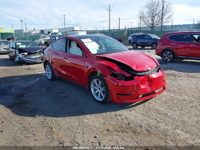 2021 tesla model y