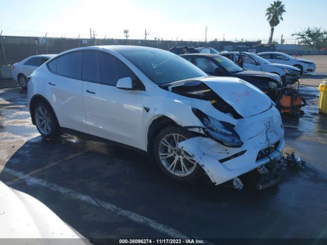 2021 tesla model y