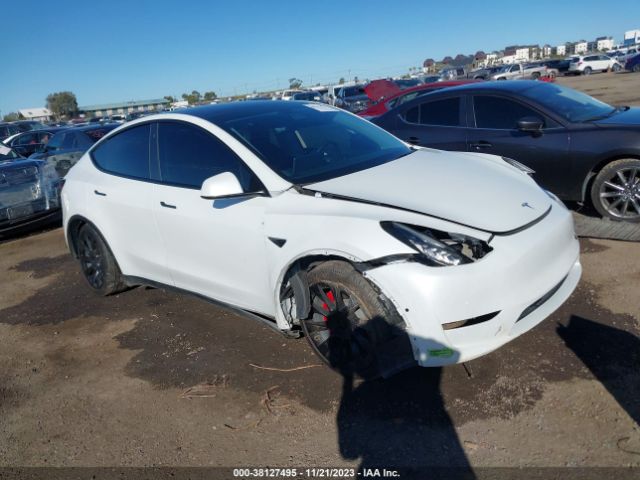 2021 tesla model y