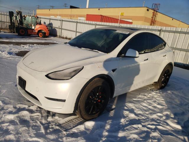 2020 tesla model y