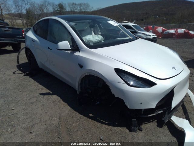 2020 tesla model y