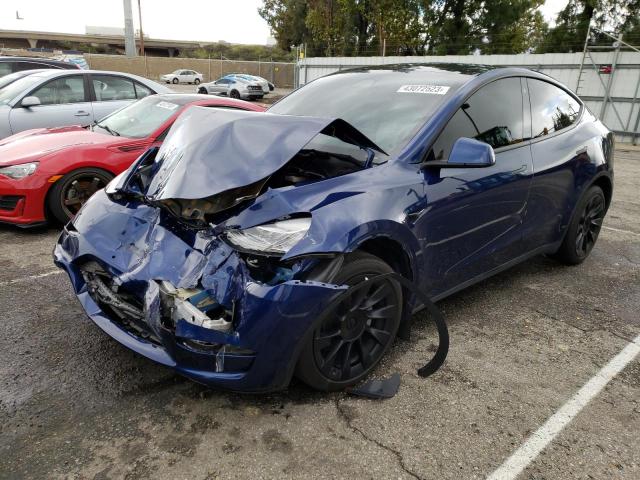 2021 tesla model y