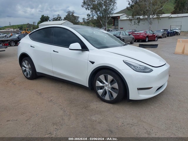 2021 tesla model y