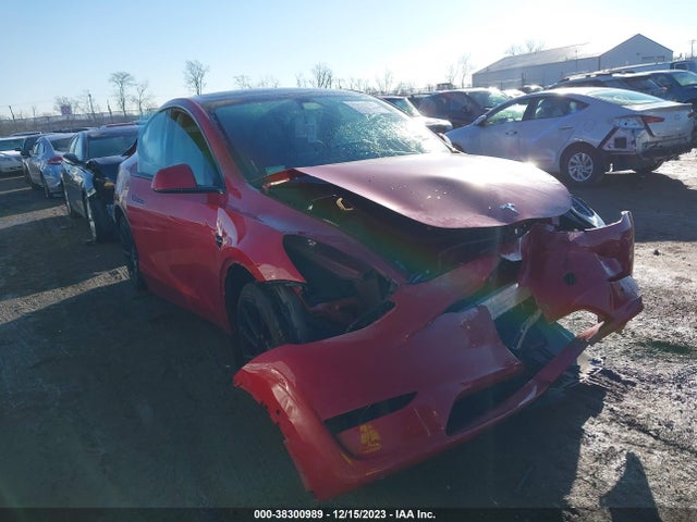 2020 tesla model y