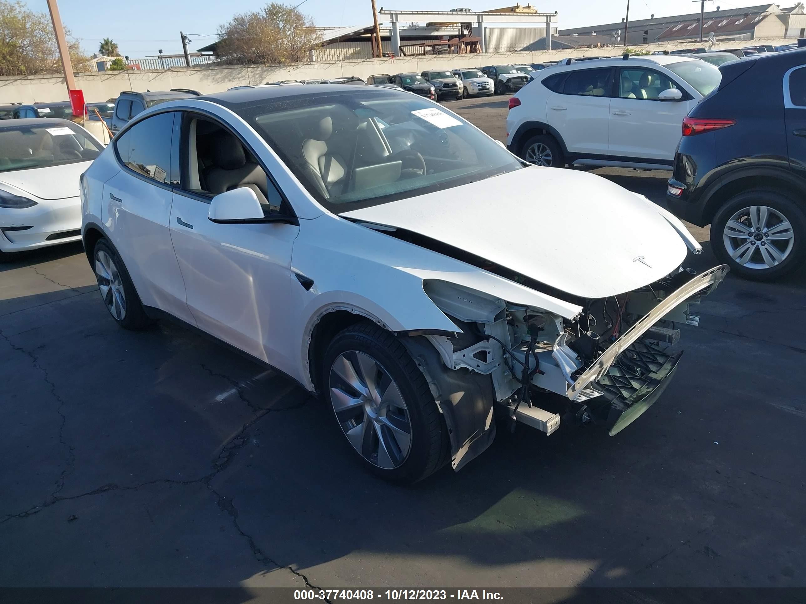 2020 tesla model y