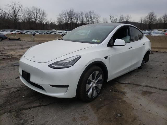 2020 tesla model y