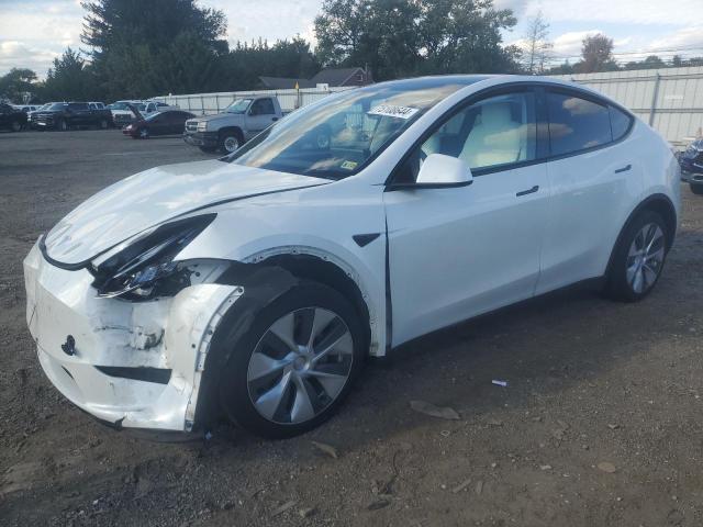 2020 tesla model y
