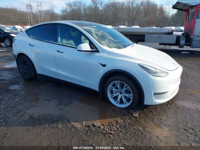 2020 TESLA Model Y