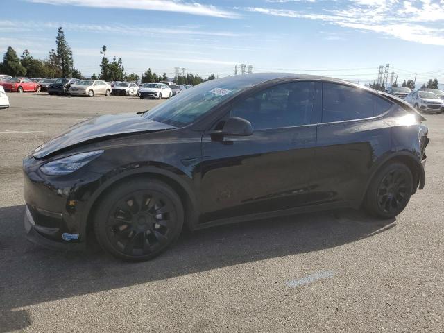 2020 tesla model y