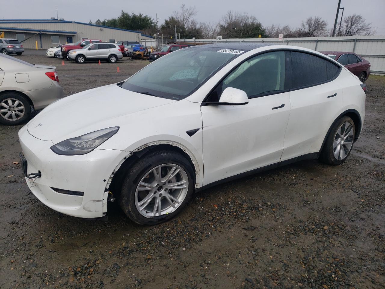 2021 tesla model y
