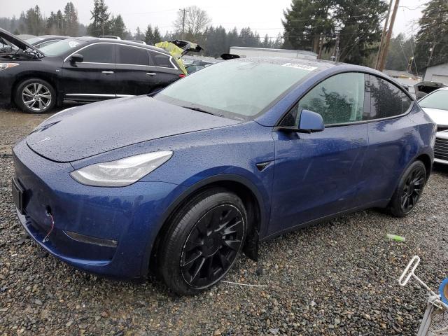 2021 tesla model y