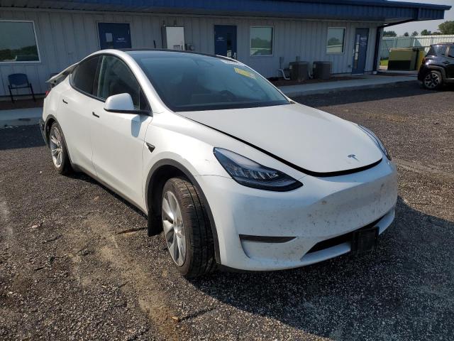 2020 tesla model y