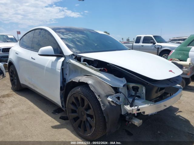 2020 TESLA Model Y