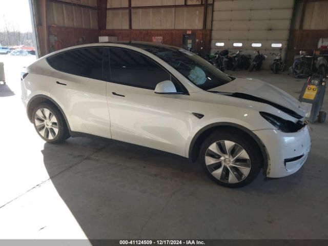 2020 TESLA Model Y