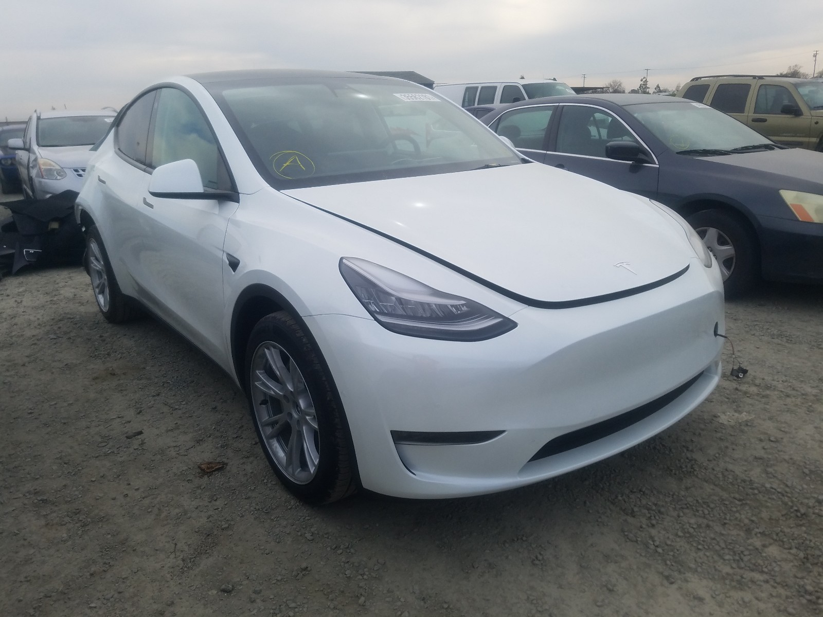 2020 tesla model y