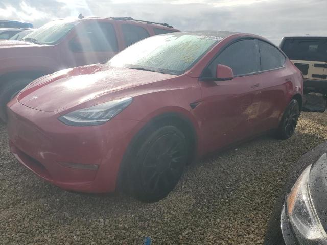 2021 tesla model y