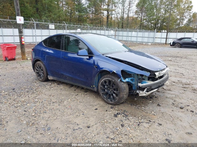 2021 tesla model y