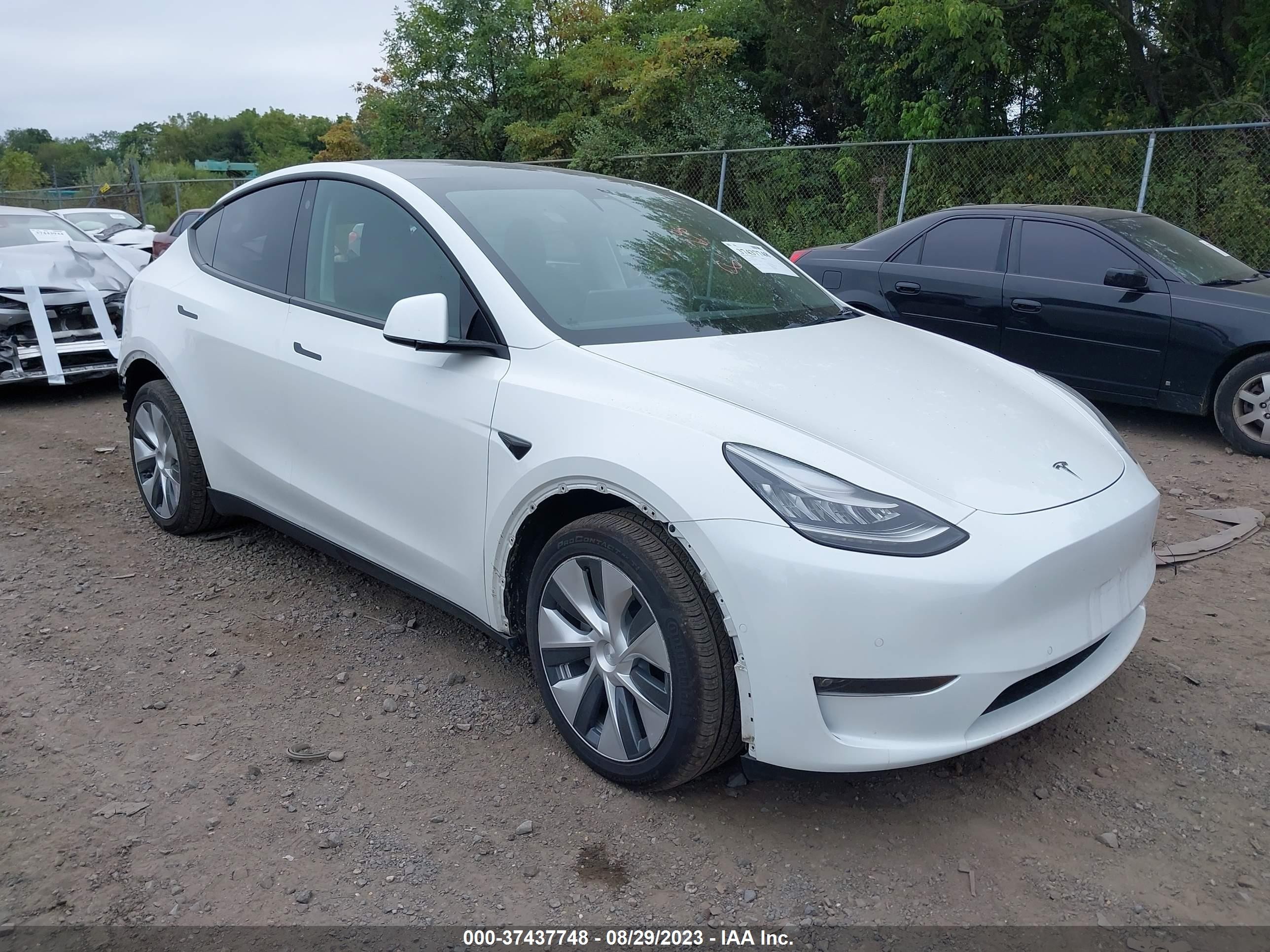 2021 tesla model y