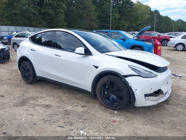 2020 tesla model y
