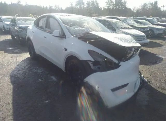 2020 tesla model y