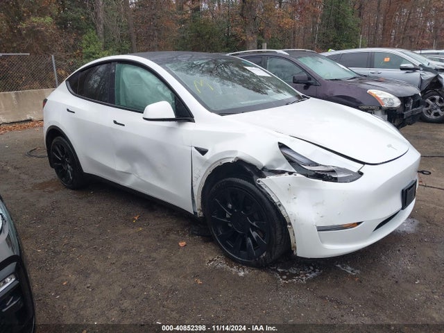 2020 tesla model y