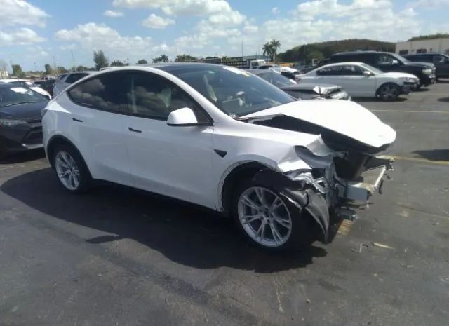 2021 tesla model y
