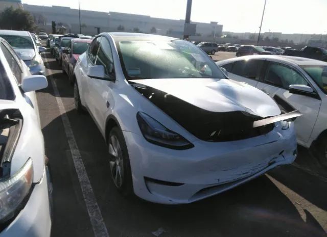 2021 tesla model y