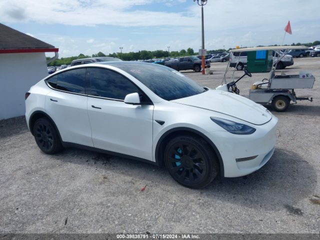 2020 TESLA Model Y