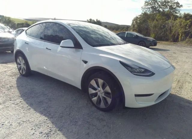 2020 tesla model y