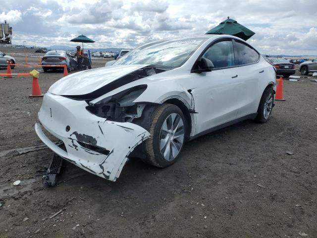 2020 TESLA Model Y